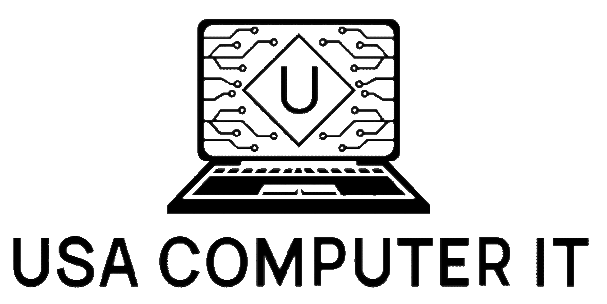 usa computer it