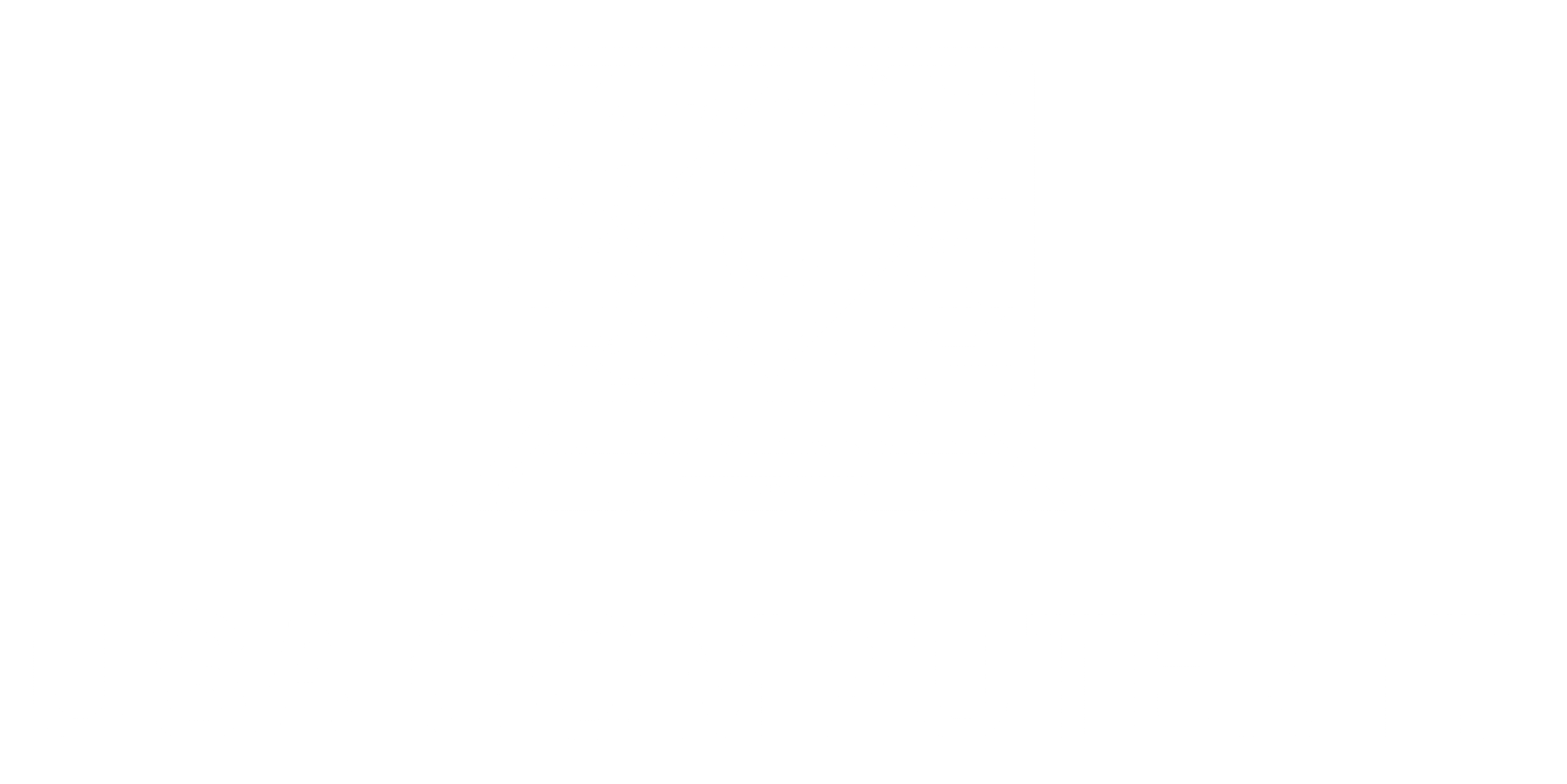 usa computer it